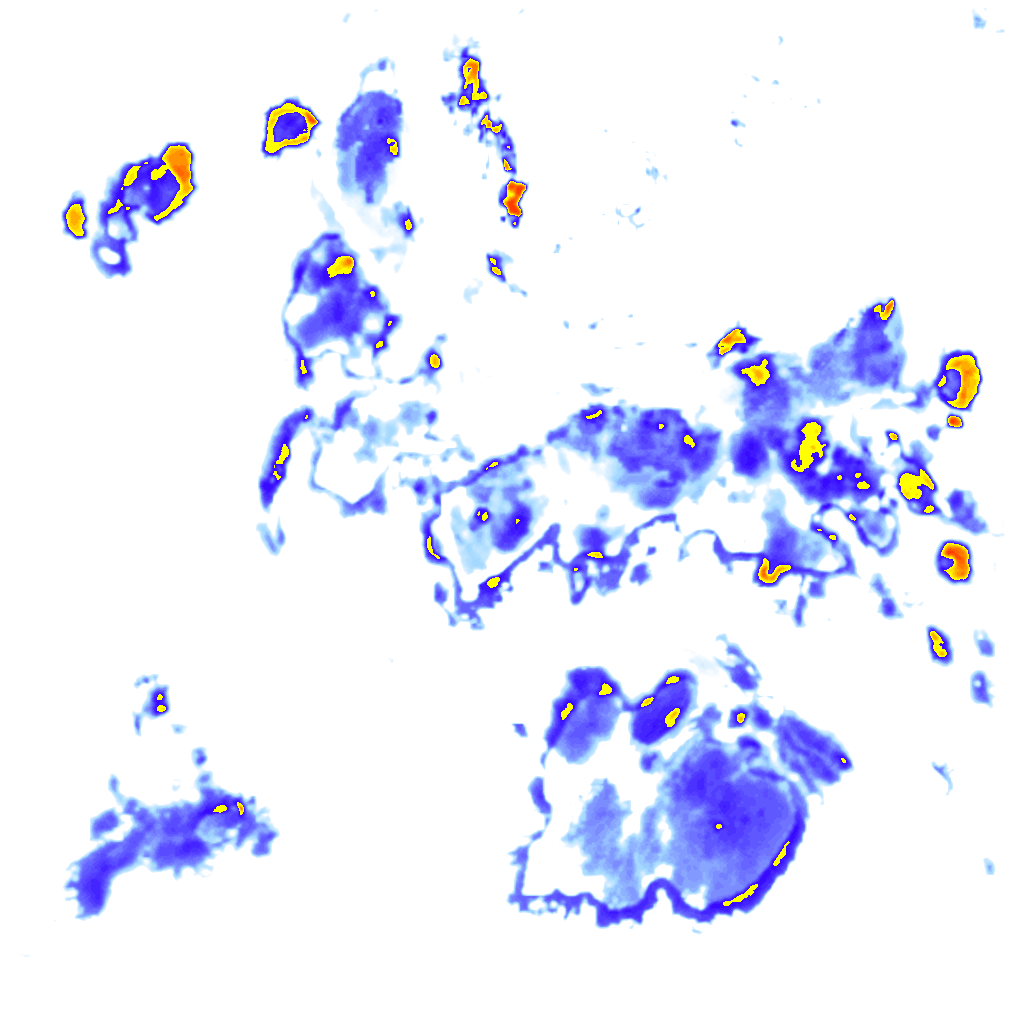 rainLayer