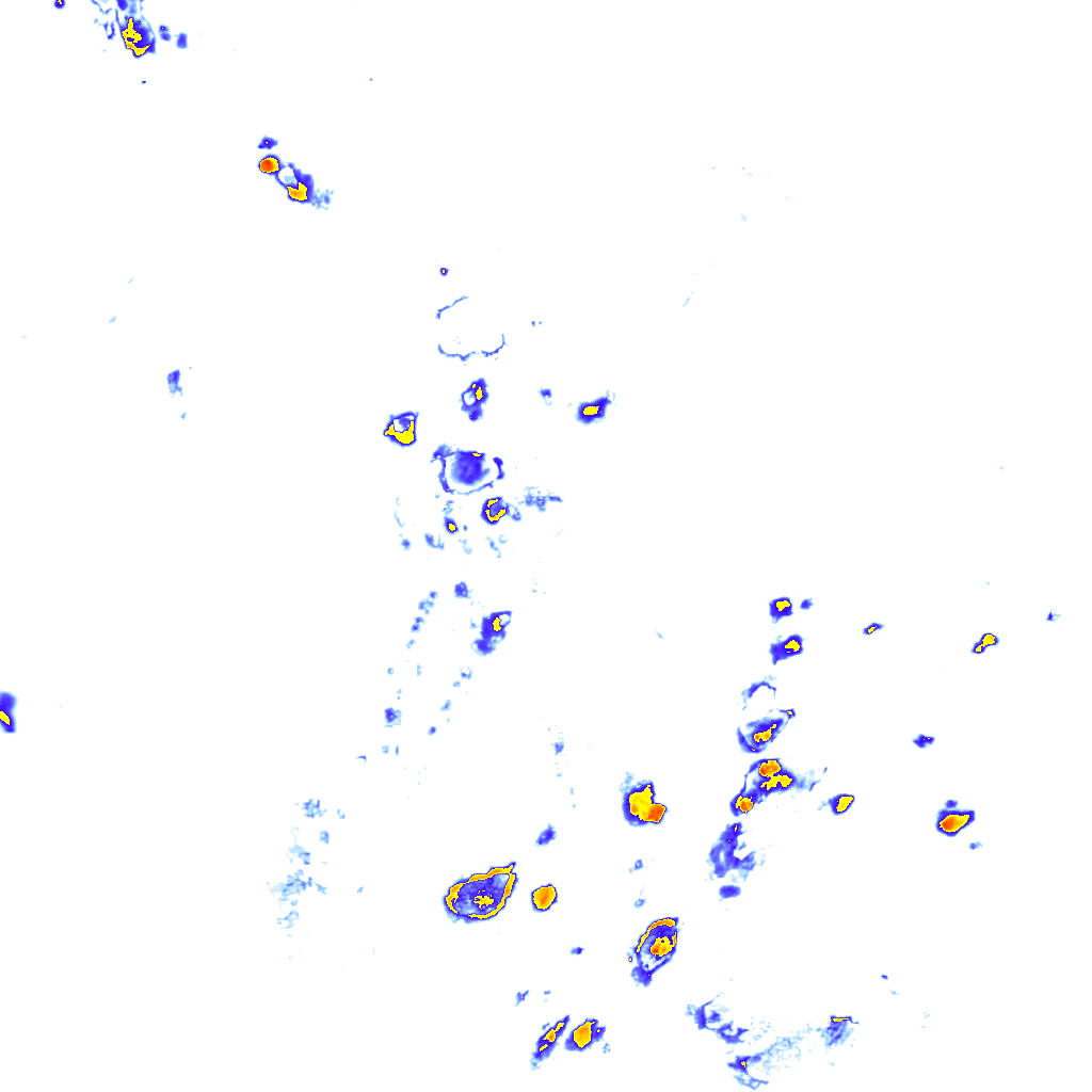 Image Layer