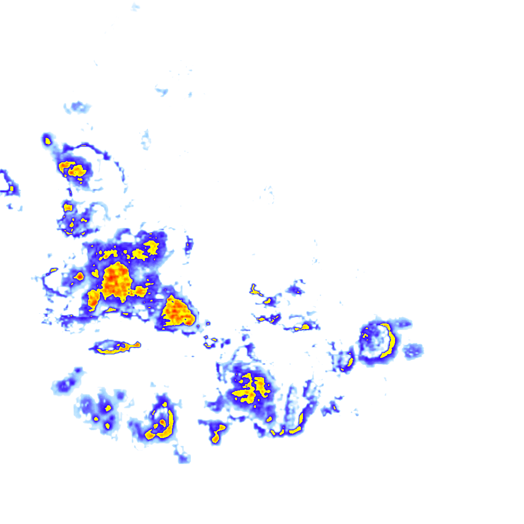 Image Layer