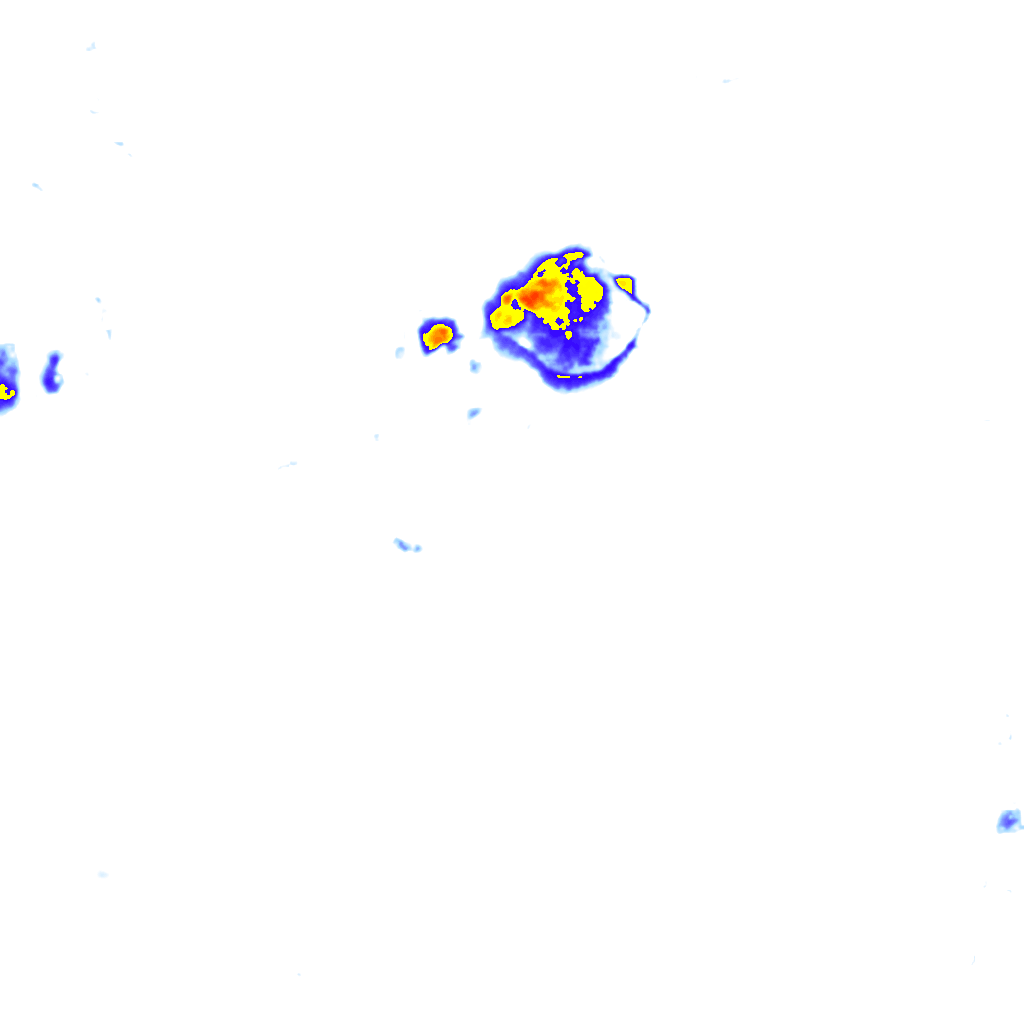Image Layer