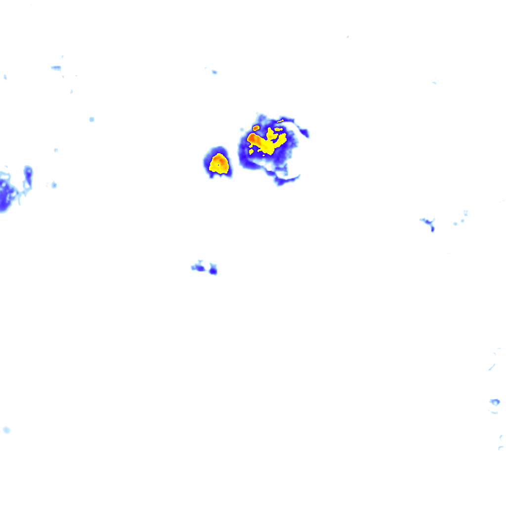 Image Layer