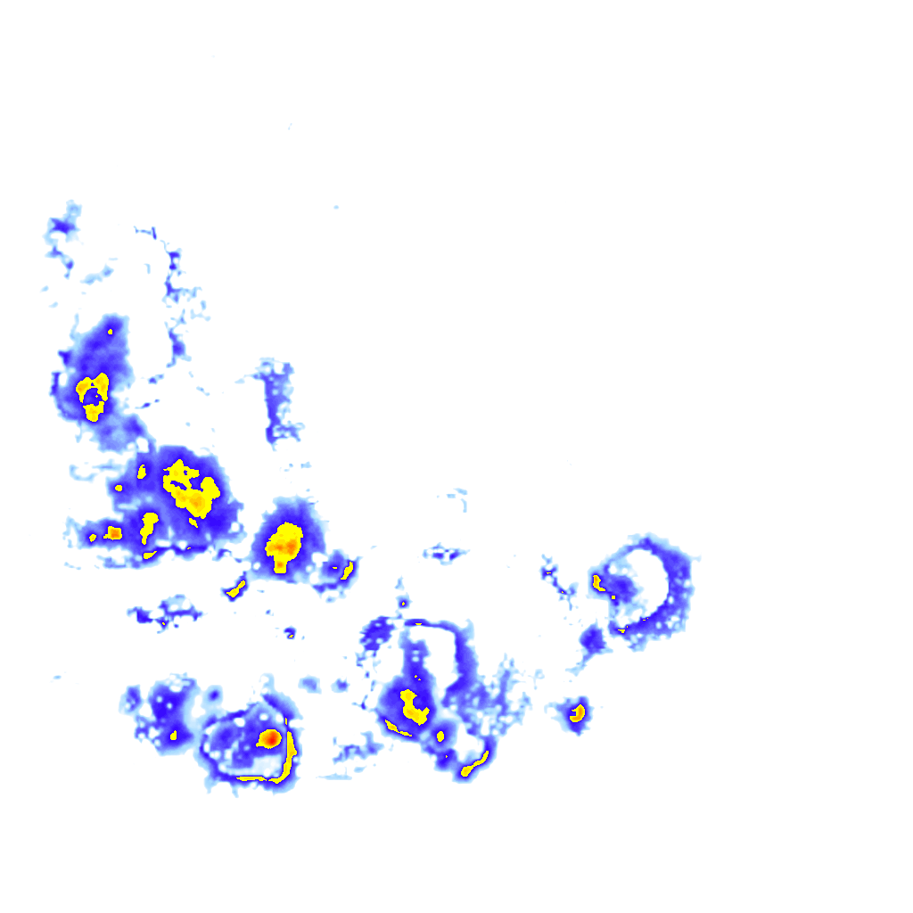 Image Layer