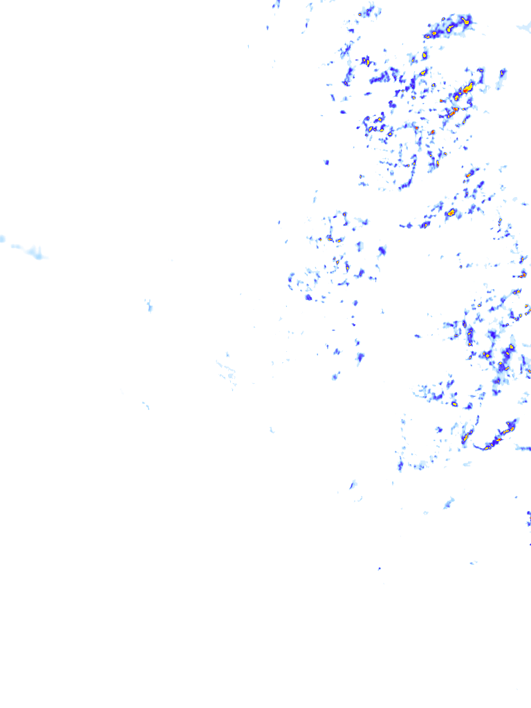 rainLayer