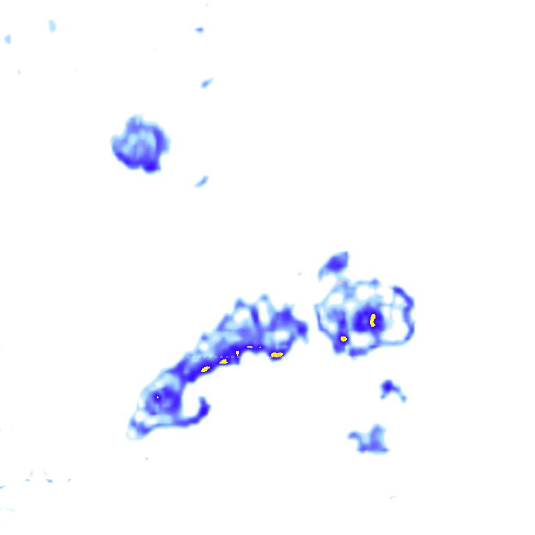 rainLayer