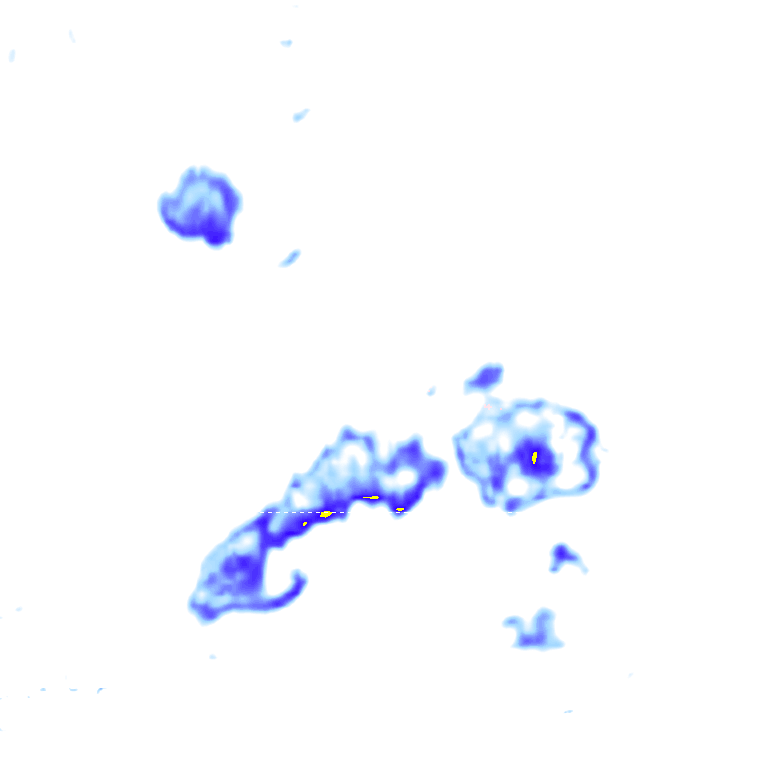 rainLayer