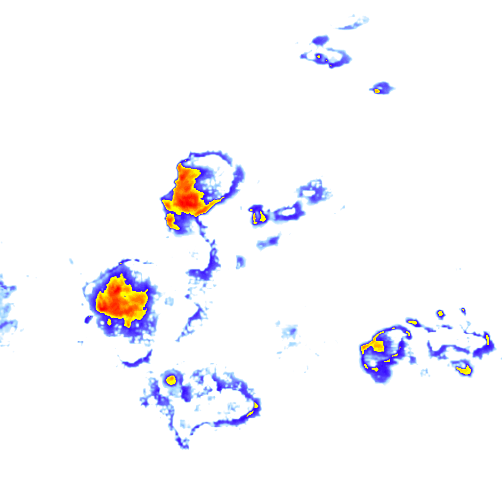 Image Layer