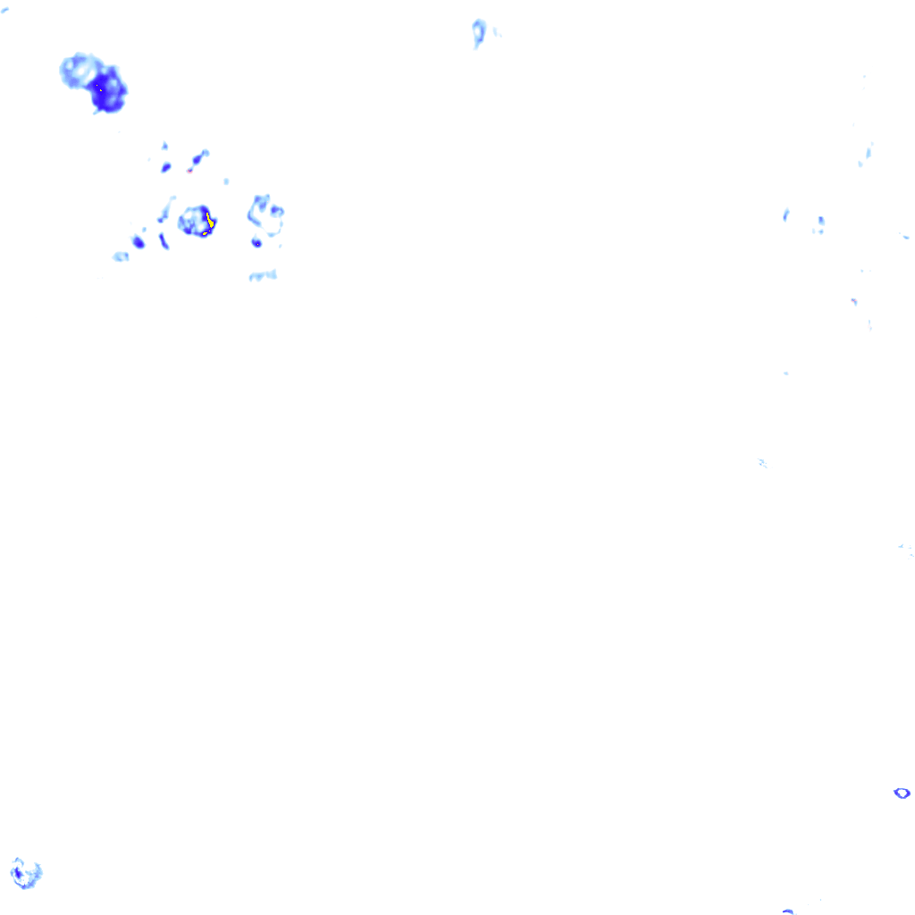 rainLayer