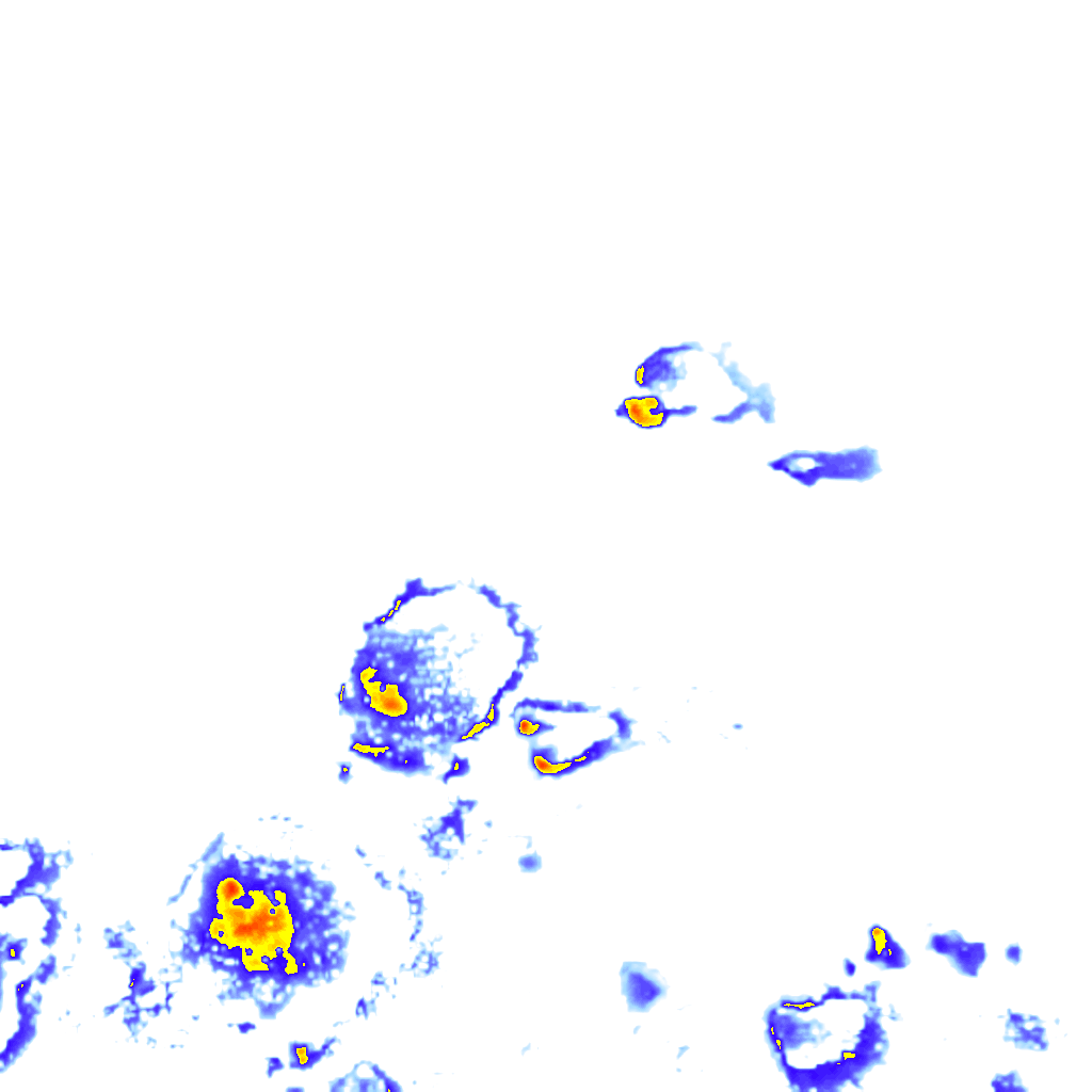 Image Layer
