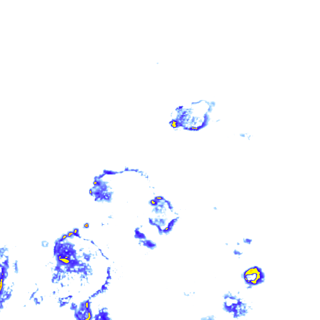 rainLayer