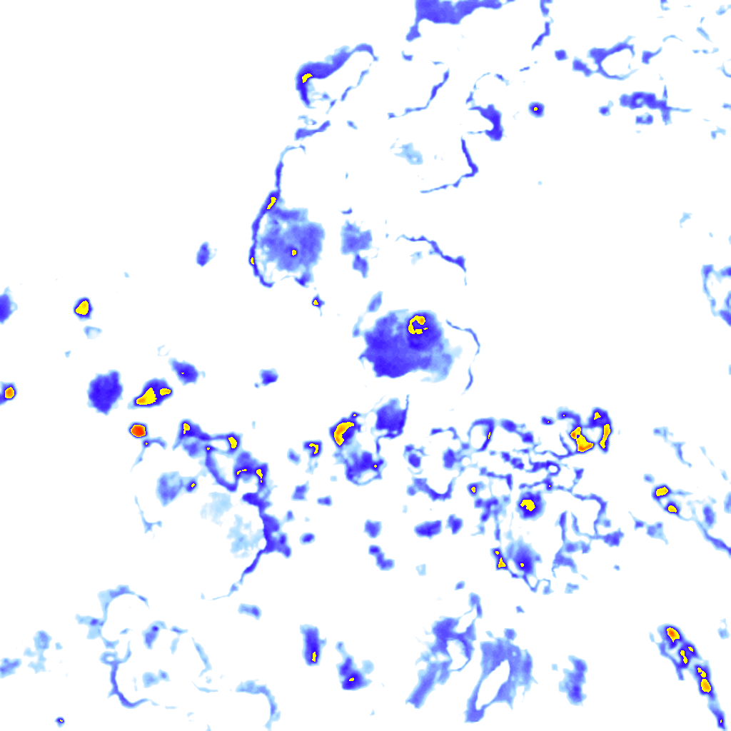 rainLayer