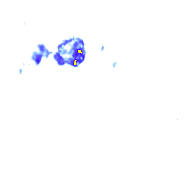 rainLayer