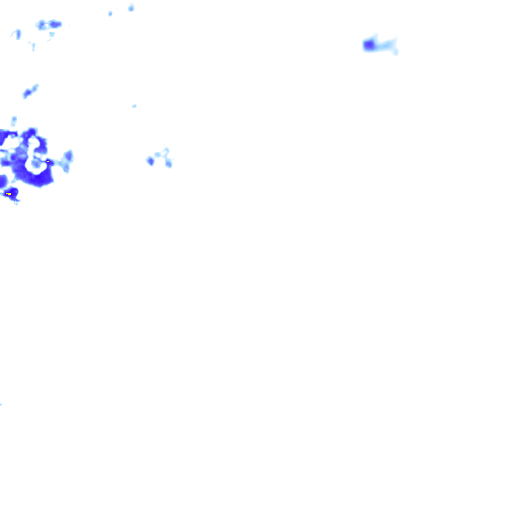 rainLayer