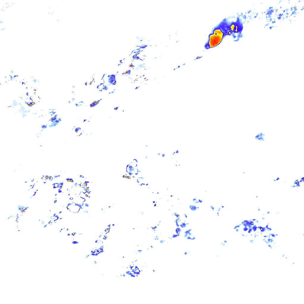 Image Layer