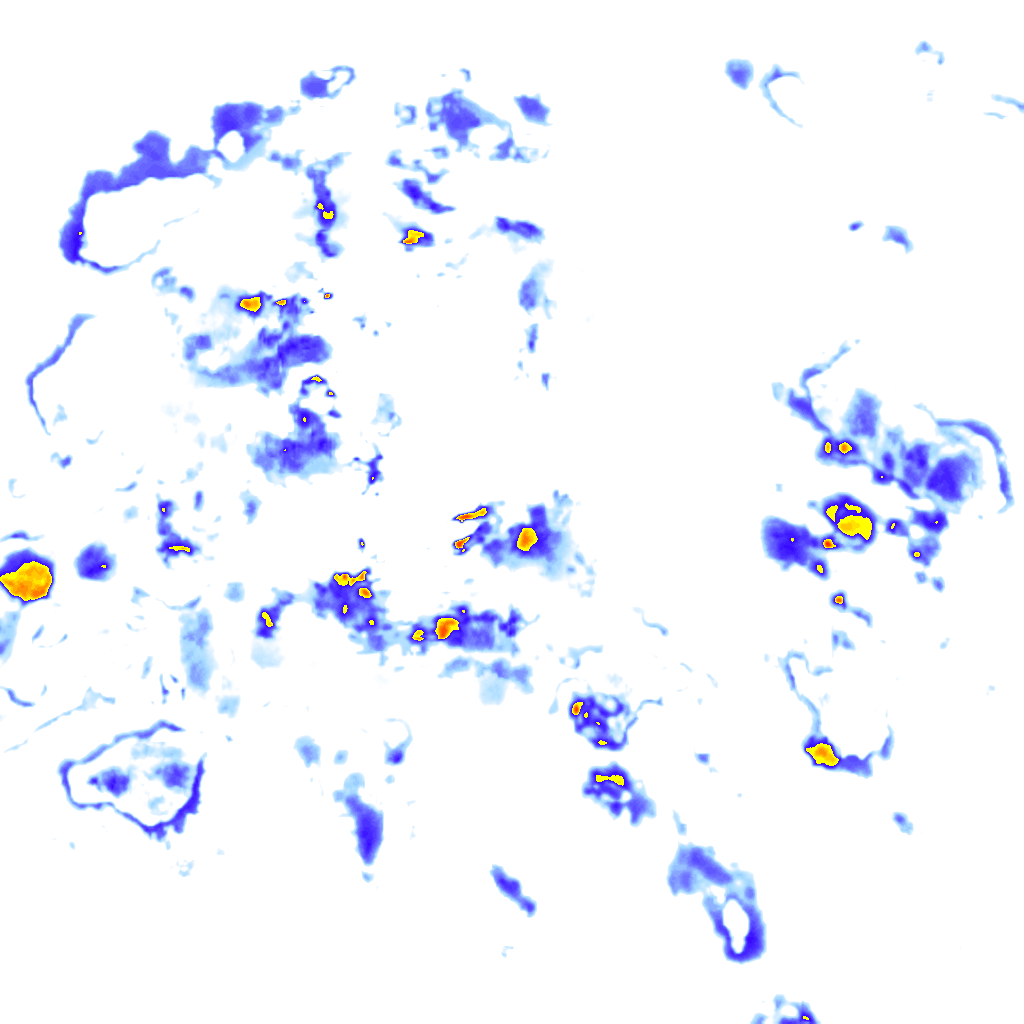 rainLayer