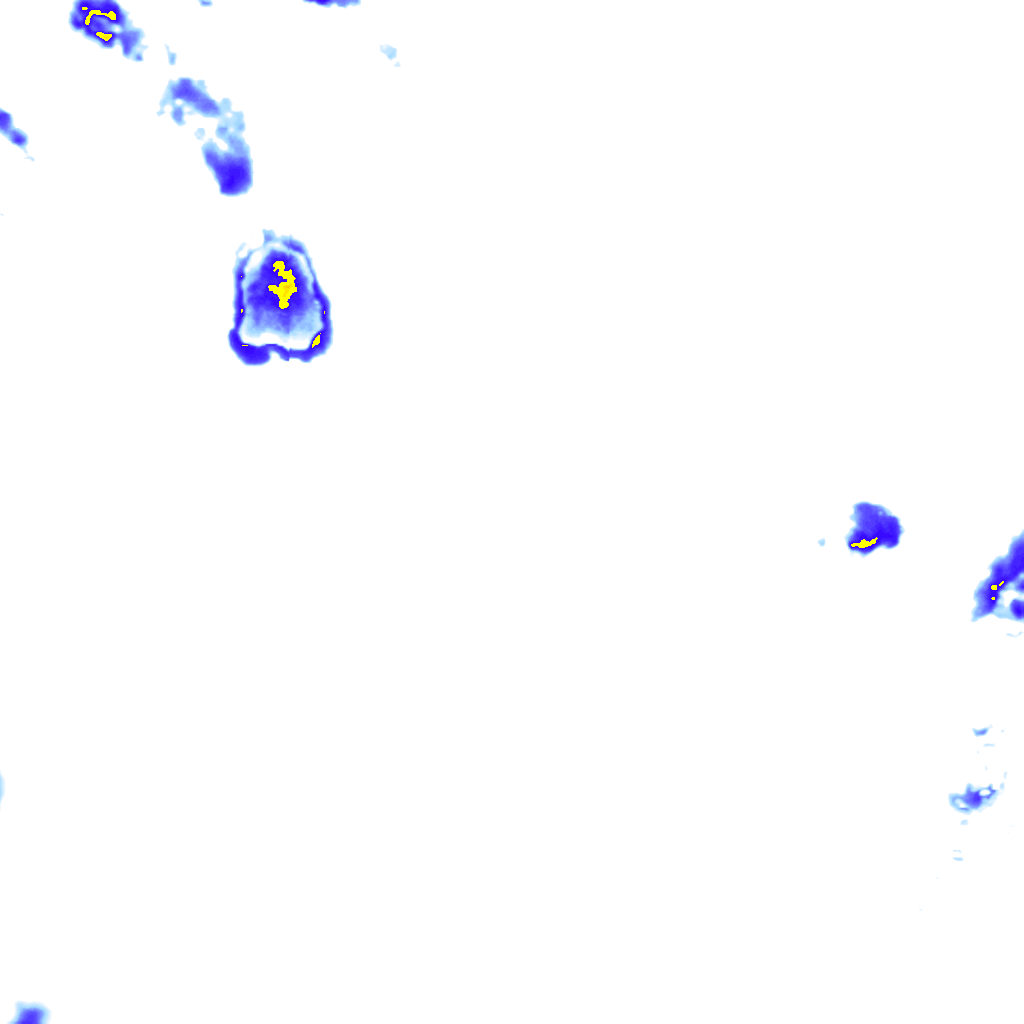 rainLayer