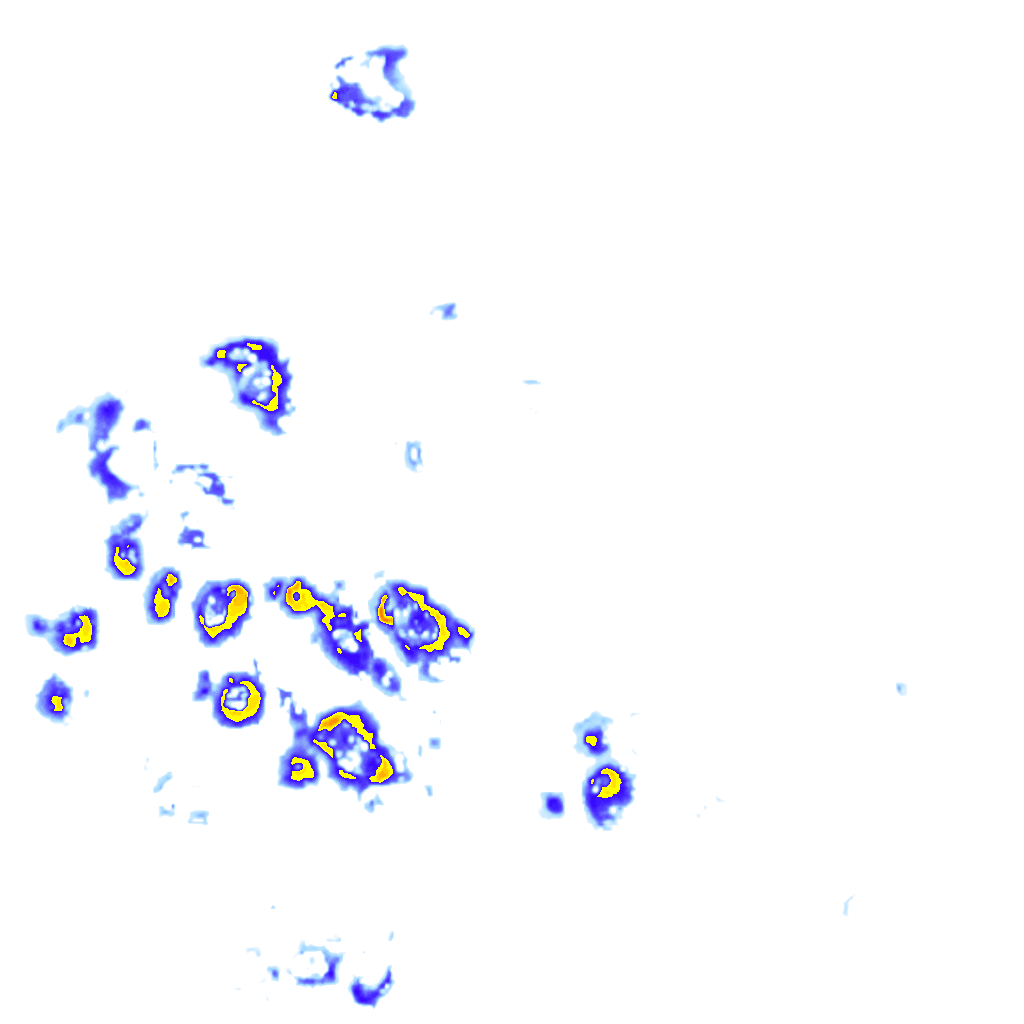 Image Layer