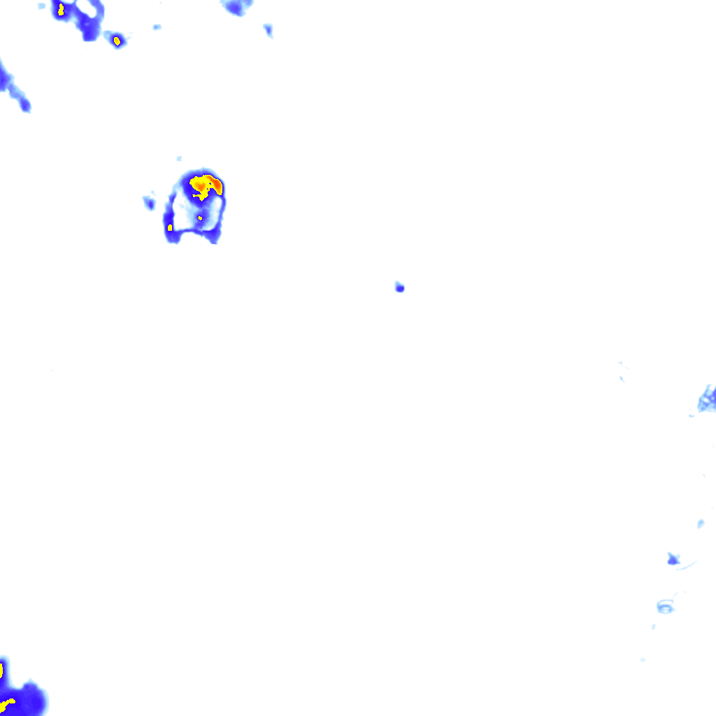 rainLayer