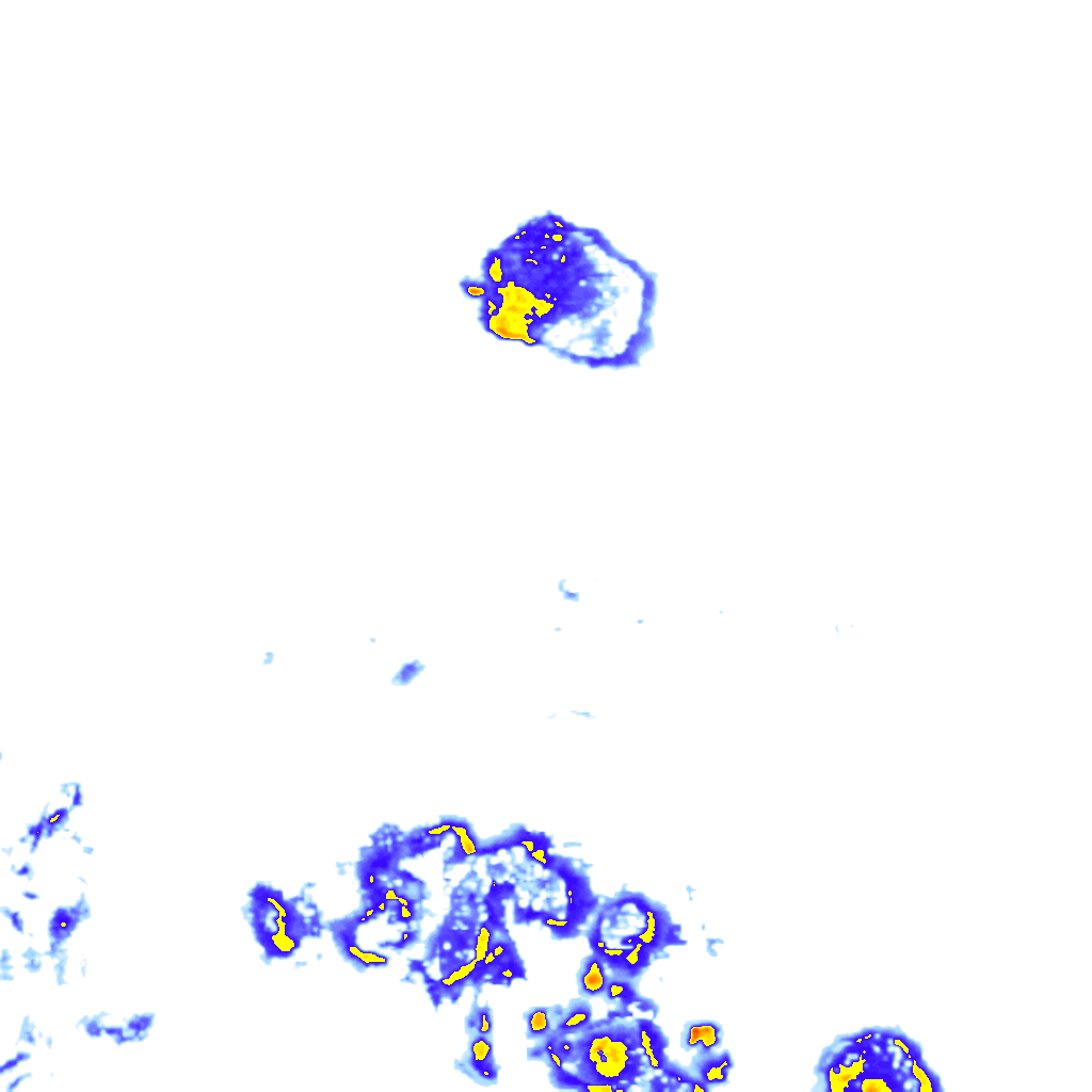 rainLayer