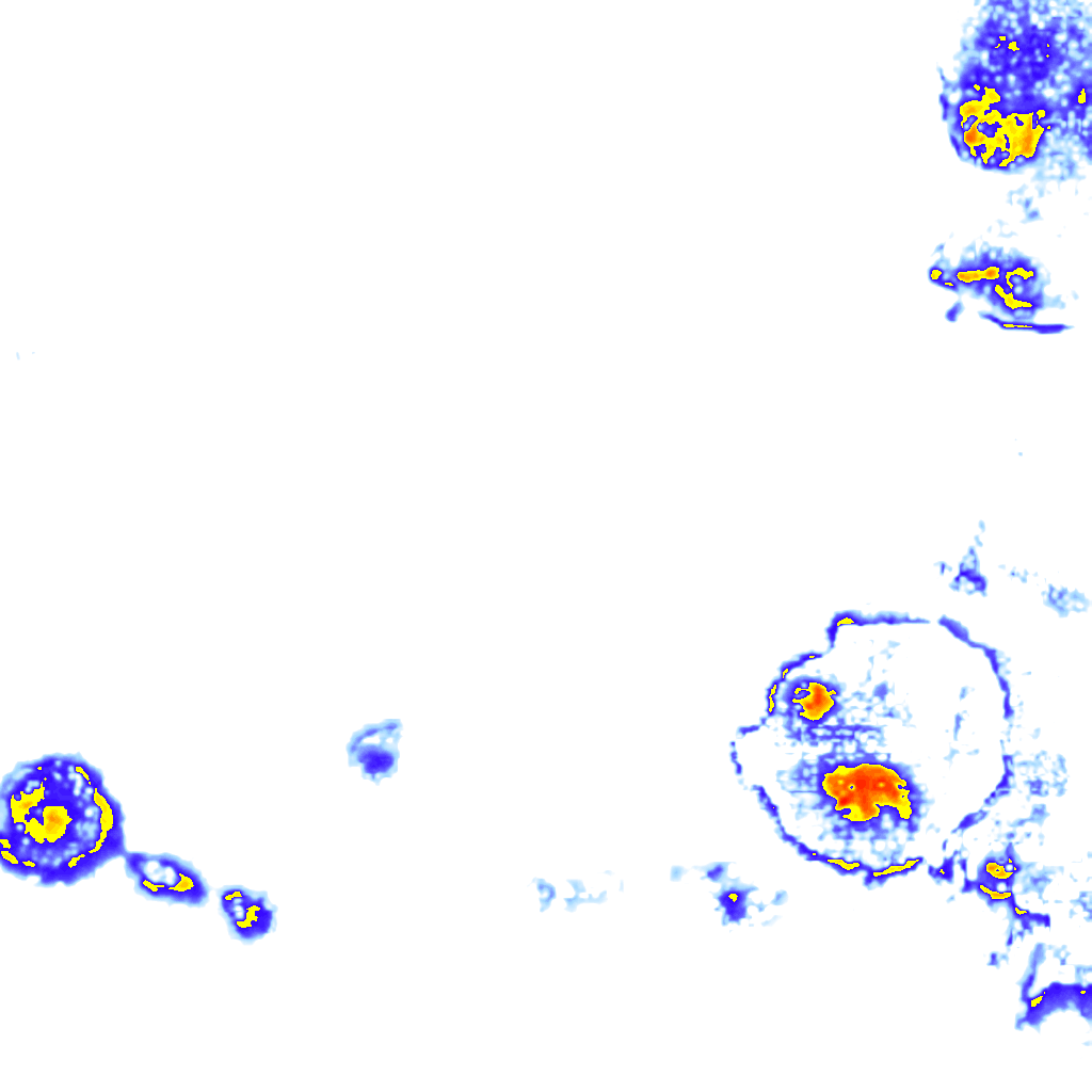 Image Layer