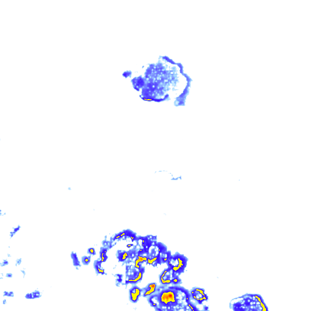 rainLayer