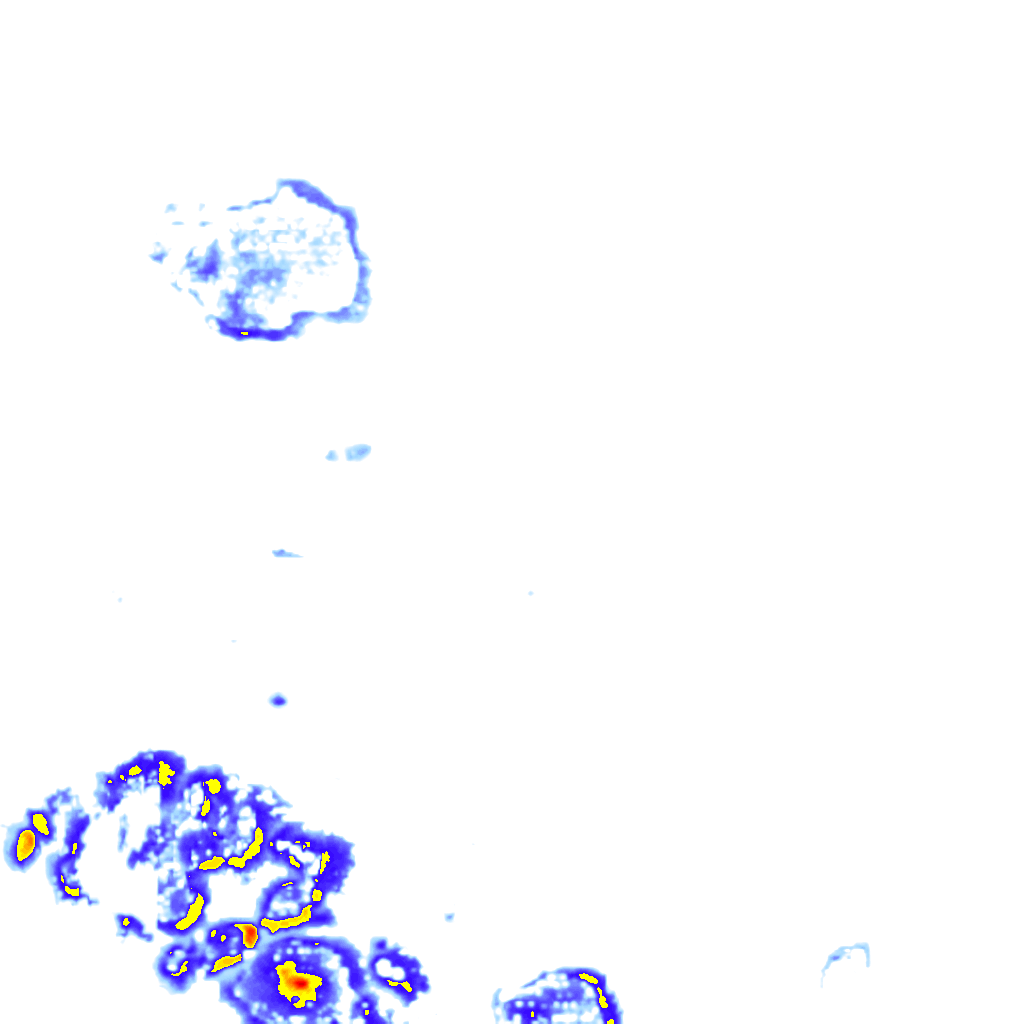 Image Layer
