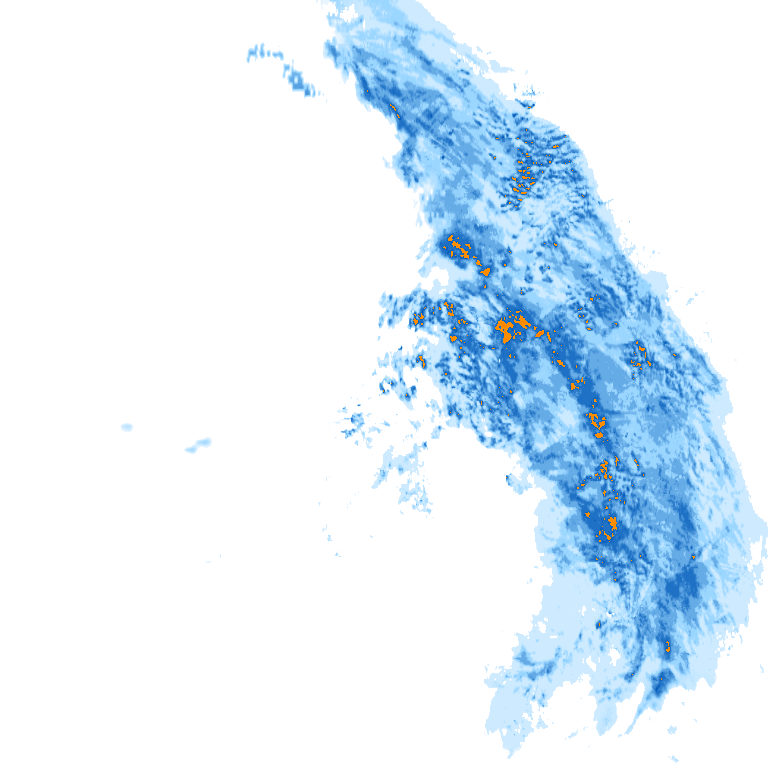 rain layer