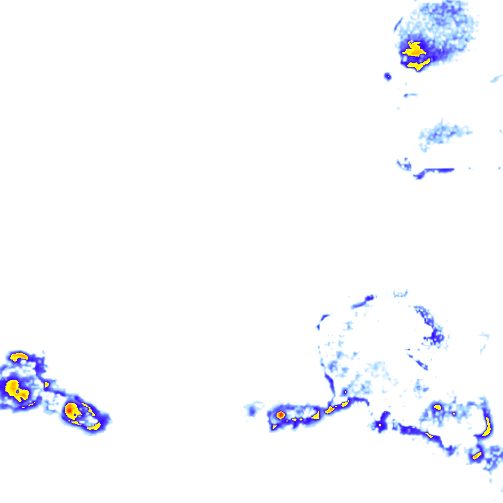 Image Layer