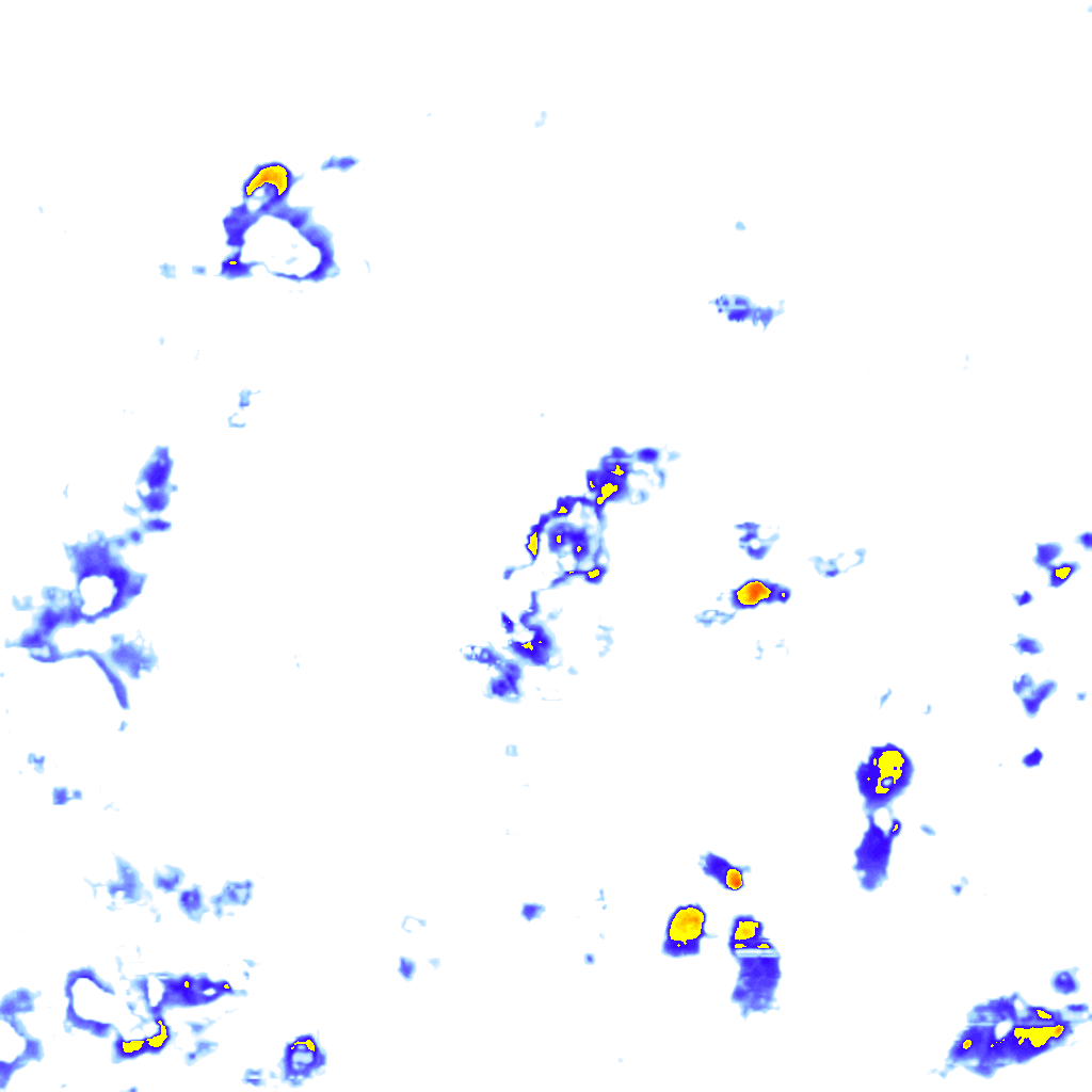 Image Layer