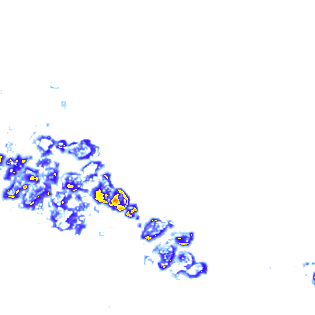 rainLayer
