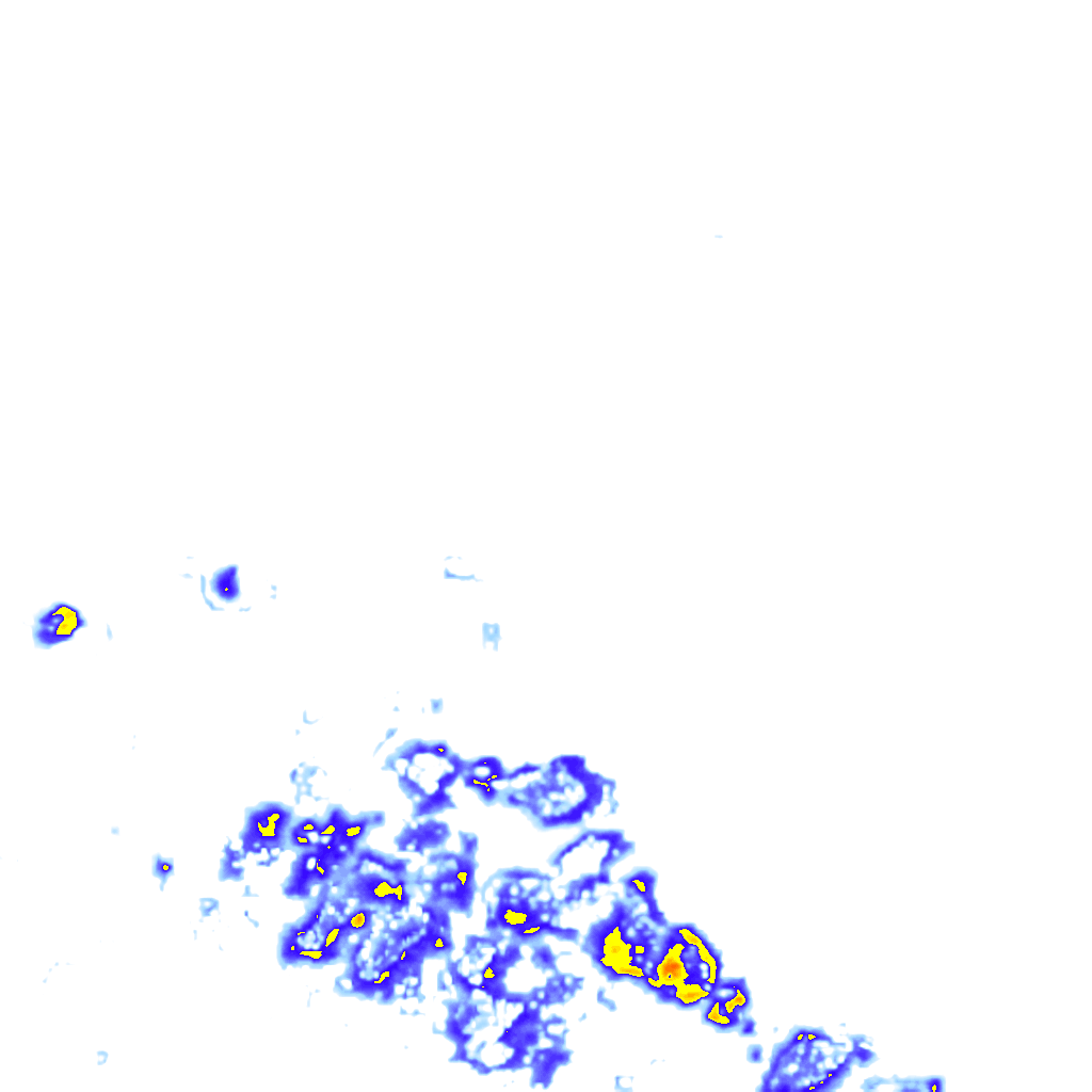 rainLayer