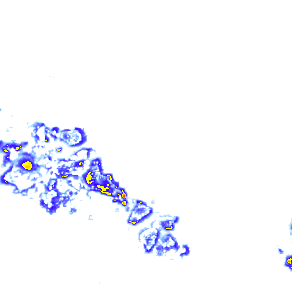 Image Layer