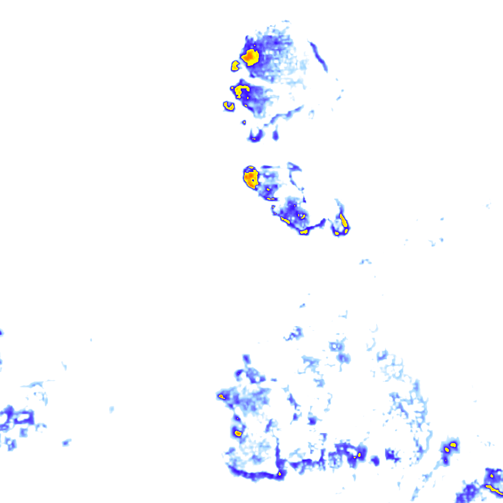 rainLayer