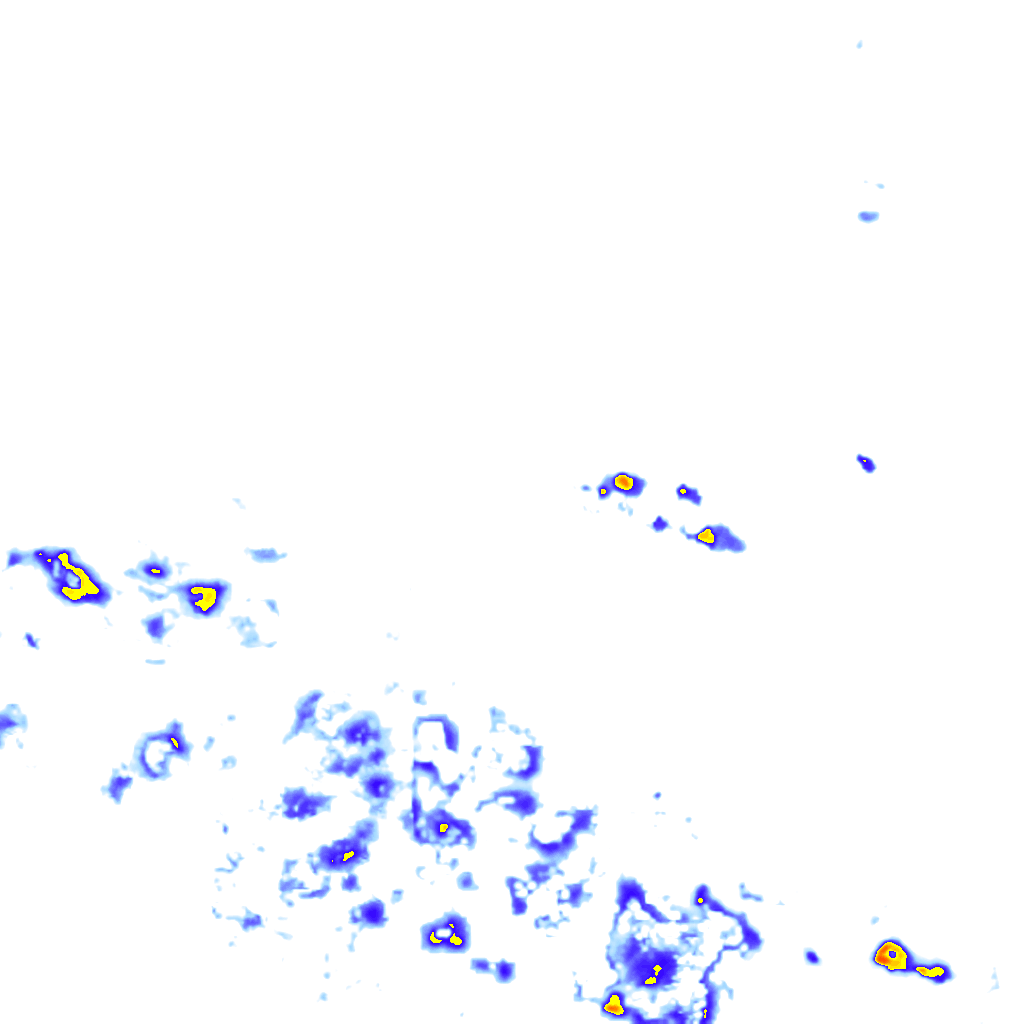 rainLayer