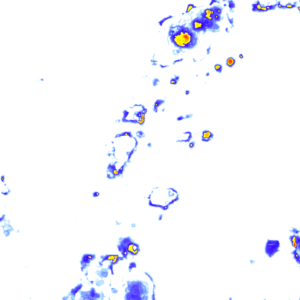 rainLayer