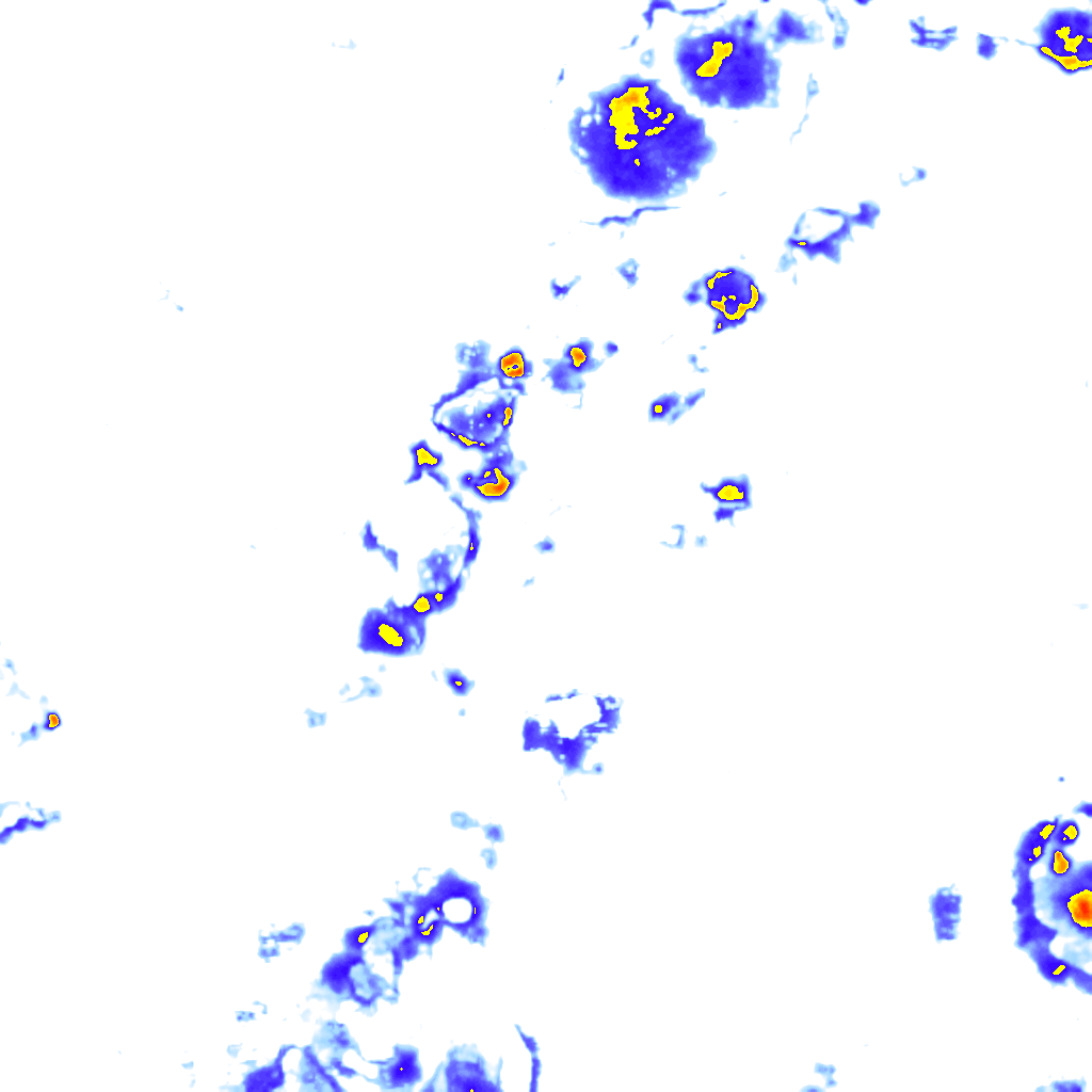 Image Layer