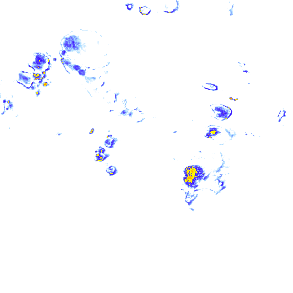 rainLayer