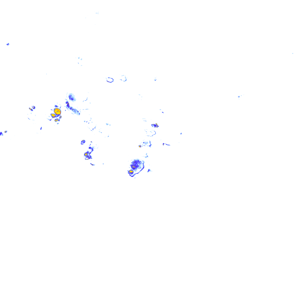 rainLayer
