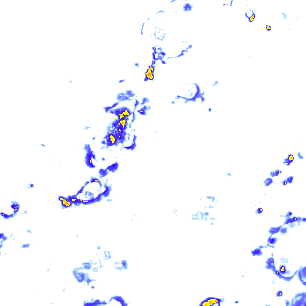 rainLayer