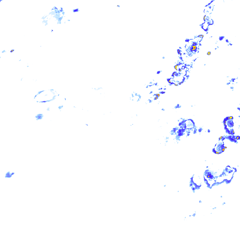 rainLayer