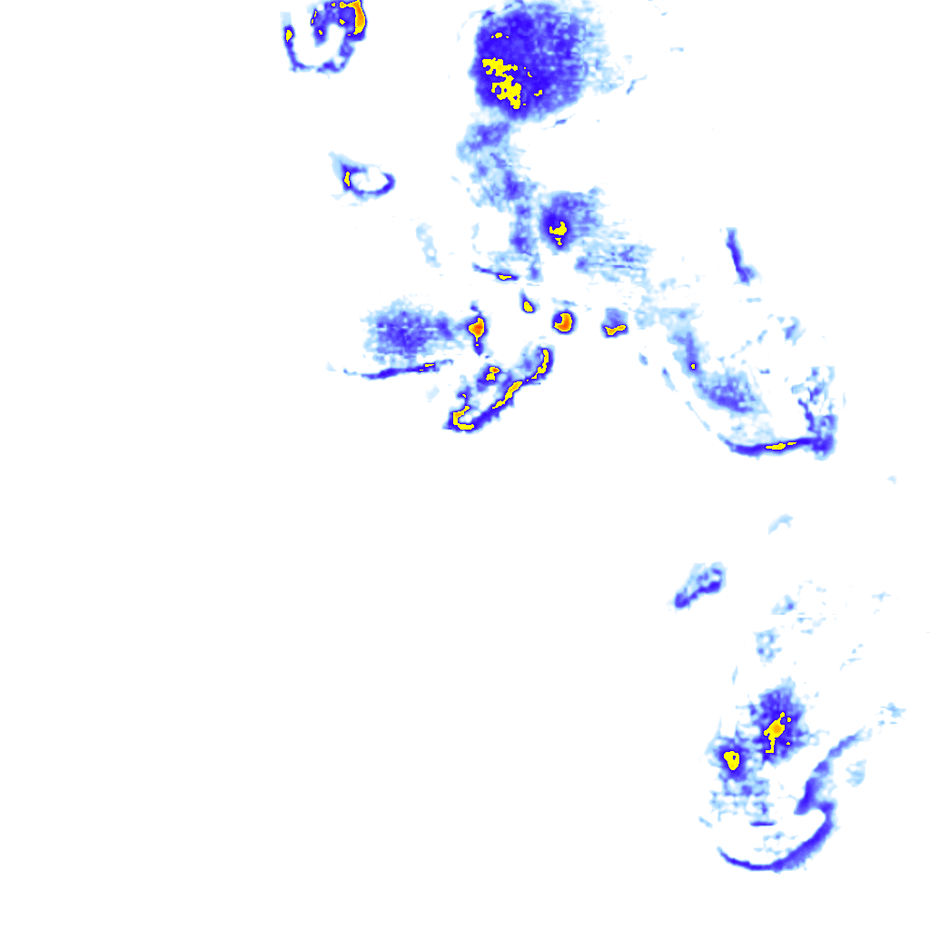 Image Layer