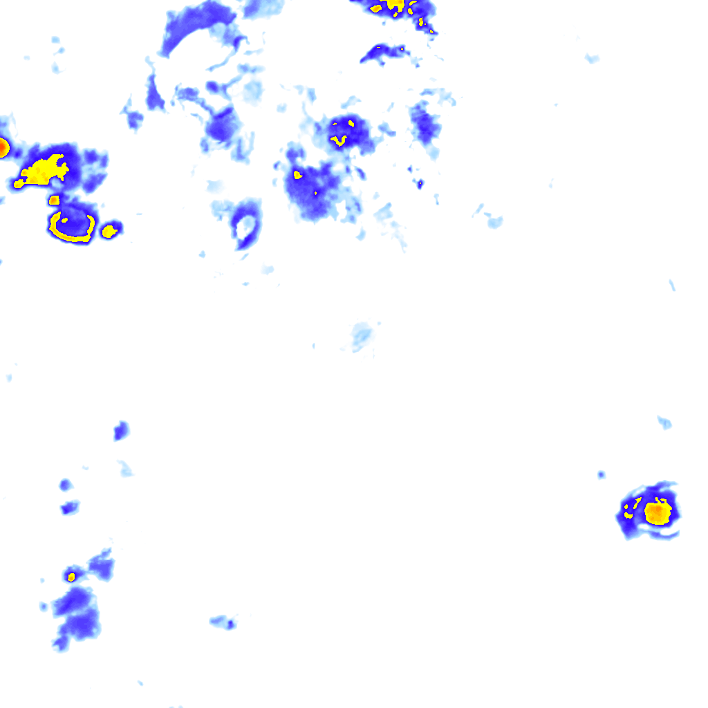 rainLayer