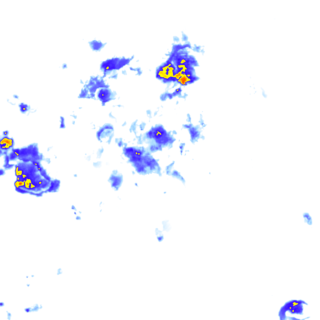 rainLayer