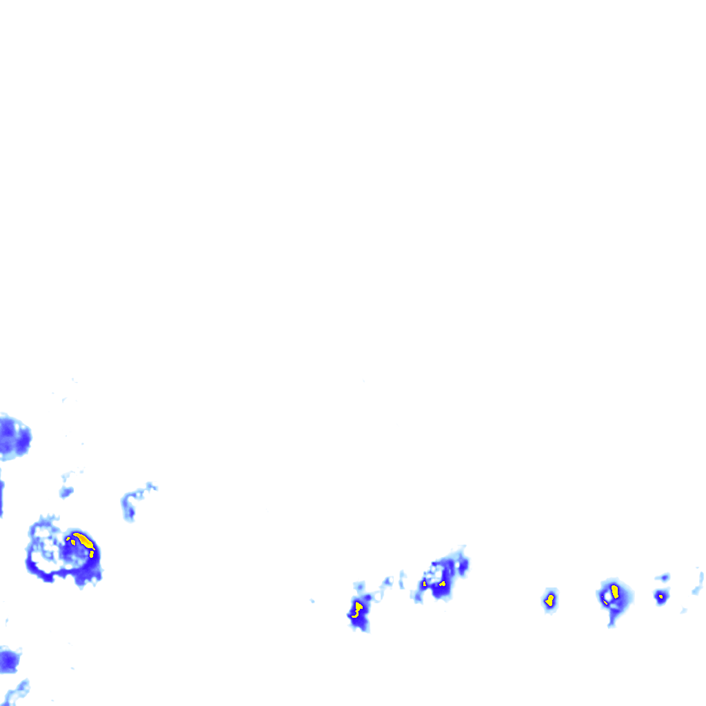 rainLayer