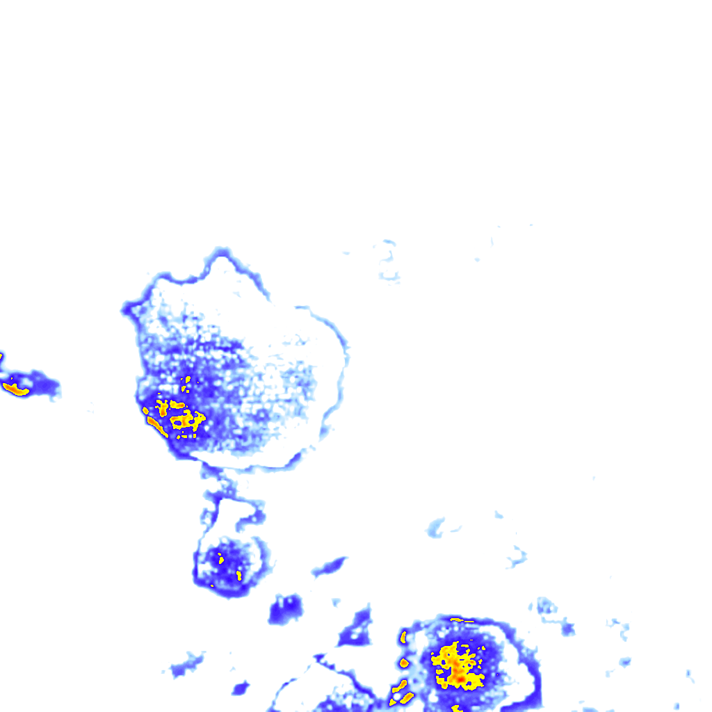 rainLayer