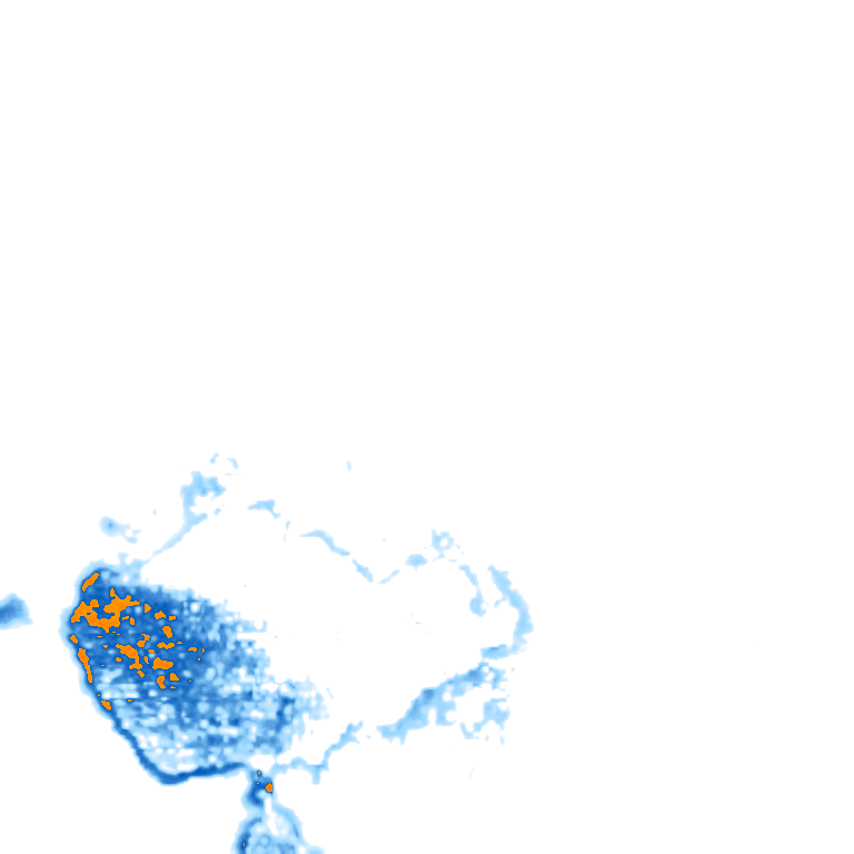 rain layer