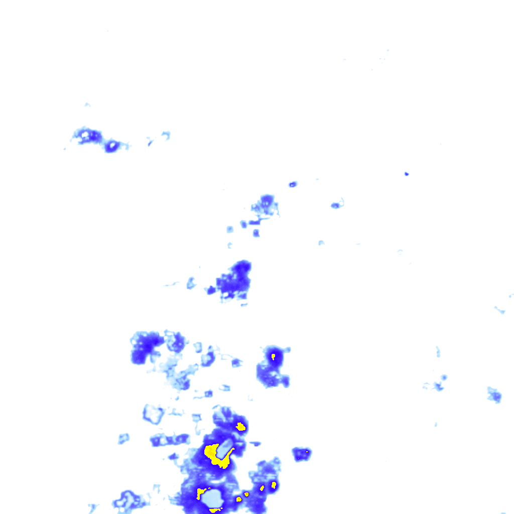 rainLayer