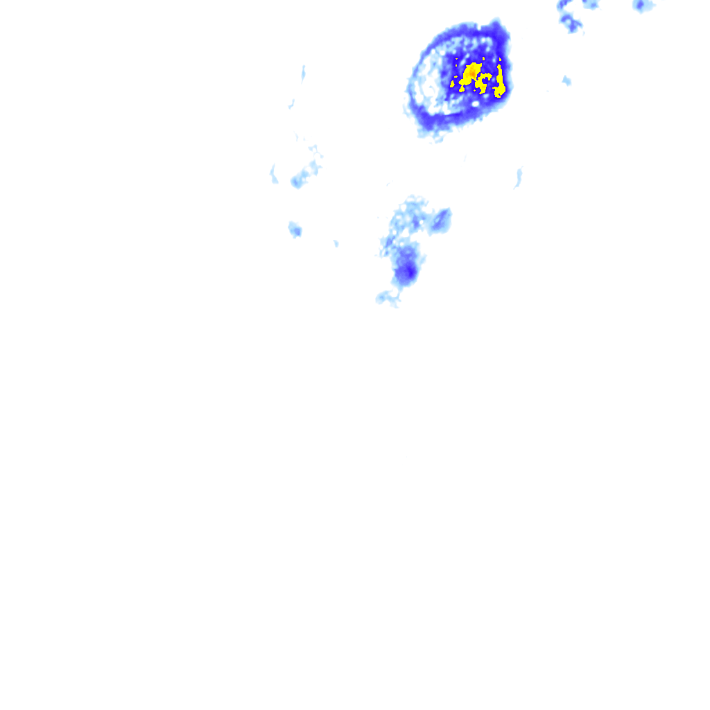 rainLayer