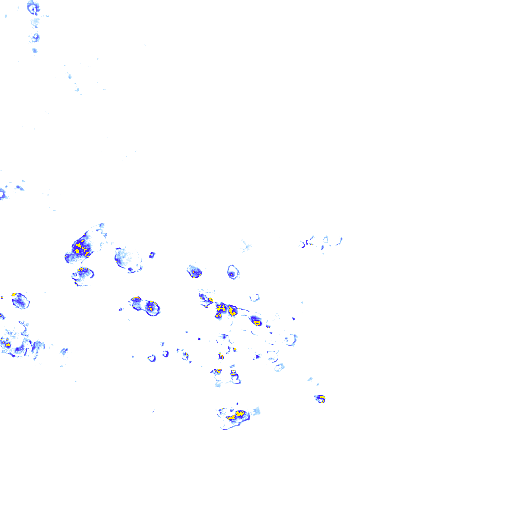 rainLayer