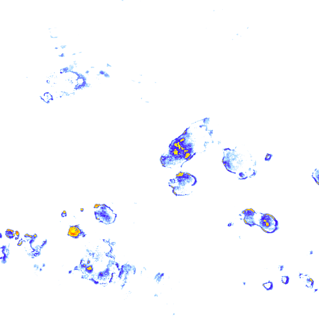 Image Layer