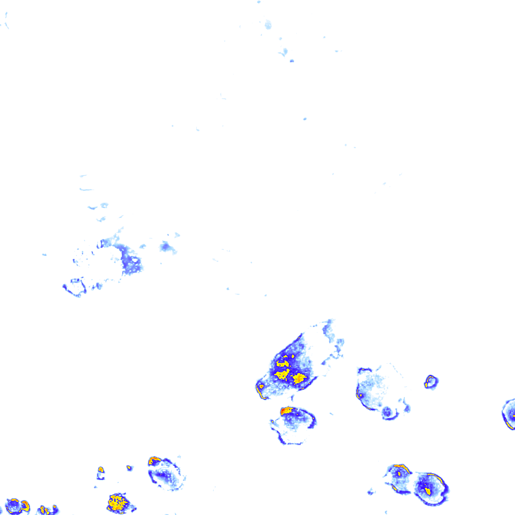 rainLayer
